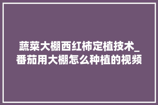 蔬菜大棚西红柿定植技术_番茄用大棚怎么种植的视频 蔬菜大棚西红柿定植技术_番茄用大棚怎么种植的视频 番茄病虫害防治