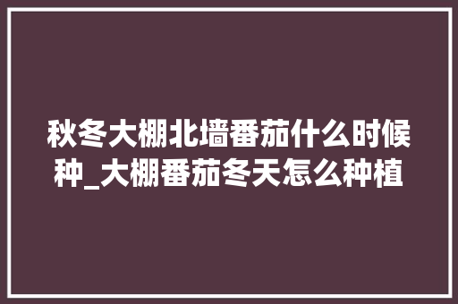 秋冬大棚北墙番茄什么时候种_大棚番茄冬天怎么种植视频 秋冬大棚北墙番茄什么时候种_大棚番茄冬天怎么种植视频 土壤施肥
