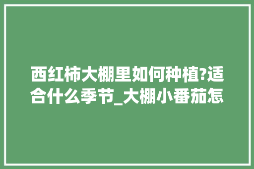 西红柿大棚里如何种植?适合什么季节_大棚小番茄怎么种植的视频 西红柿大棚里如何种植?适合什么季节_大棚小番茄怎么种植的视频 土壤施肥