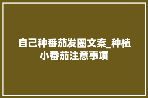 自己种番茄发圈文案_种植小番茄注意事项 自己种番茄发圈文案_种植小番茄注意事项 花朵知识