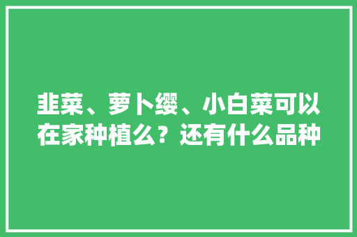 韭菜、萝卜缨、小白菜可以在家种植么？还有什么品种可以在家种植_矮脚番茄怎么种植视频讲解