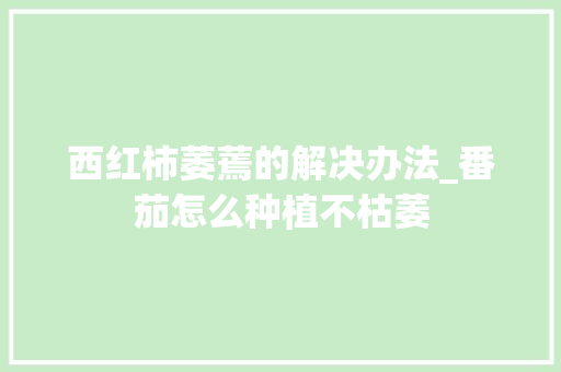 西红柿萎蔫的解决办法_番茄怎么种植不枯萎 西红柿萎蔫的解决办法_番茄怎么种植不枯萎 番茄种植技巧