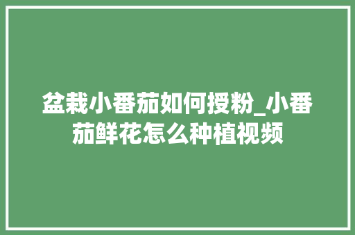 盆栽小番茄如何授粉_小番茄鲜花怎么种植视频 盆栽小番茄如何授粉_小番茄鲜花怎么种植视频 番茄种植技巧