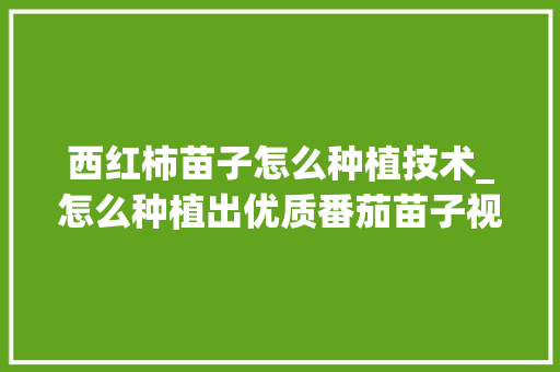 西红柿苗子怎么种植技术_怎么种植出优质番茄苗子视频 西红柿苗子怎么种植技术_怎么种植出优质番茄苗子视频 植物种类