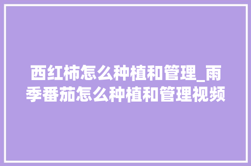 西红柿怎么种植和管理_雨季番茄怎么种植和管理视频 西红柿怎么种植和管理_雨季番茄怎么种植和管理视频 种植技巧