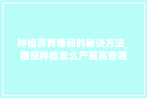 种植养育番茄的秘诀方法_番茄种植怎么产量高些呢 植物种类 种植养育番茄的秘诀方法_番茄种植怎么产量高些呢 种植养育番茄的秘诀方法_番茄种植怎么产量高些呢 植物种类