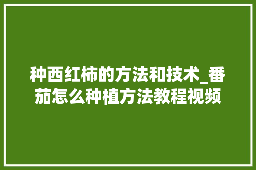 种西红柿的方法和技术_番茄怎么种植方法教程视频