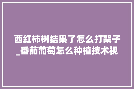 西红柿树结果了怎么打架子_番茄葡萄怎么种植技术视频 番茄种植技巧 西红柿树结果了怎么打架子_番茄葡萄怎么种植技术视频 西红柿树结果了怎么打架子_番茄葡萄怎么种植技术视频 番茄种植技巧