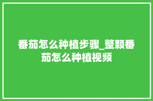 番茄怎么种植步骤_整颗番茄怎么种植视频 番茄怎么种植步骤_整颗番茄怎么种植视频 土壤施肥