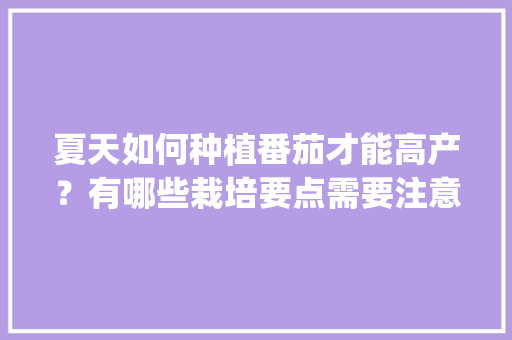 夏天如何种植番茄才能高产？有哪些栽培要点需要注意_番茄种植夏天怎么养护好 夏天如何种植番茄才能高产？有哪些栽培要点需要注意_番茄种植夏天怎么养护好 种植技巧