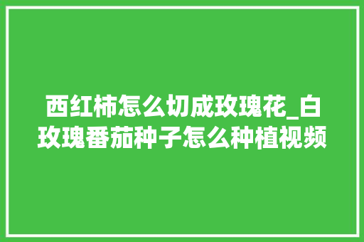 西红柿怎么切成玫瑰花_白玫瑰番茄种子怎么种植视频 土壤施肥 西红柿怎么切成玫瑰花_白玫瑰番茄种子怎么种植视频 西红柿怎么切成玫瑰花_白玫瑰番茄种子怎么种植视频 土壤施肥