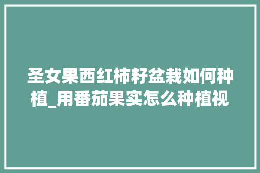 圣女果西红柿籽盆栽如何种植_用番茄果实怎么种植视频 圣女果西红柿籽盆栽如何种植_用番茄果实怎么种植视频 花朵知识
