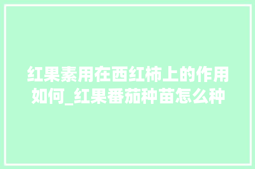 红果素用在西红柿上的作用如何_红果番茄种苗怎么种植视频