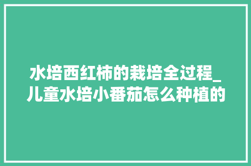 水培西红柿的栽培全过程_儿童水培小番茄怎么种植的 水培西红柿的栽培全过程_儿童水培小番茄怎么种植的 种植技巧