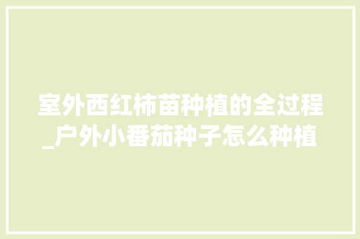 室外西红柿苗种植的全过程_户外小番茄种子怎么种植视频 室外西红柿苗种植的全过程_户外小番茄种子怎么种植视频 土壤施肥