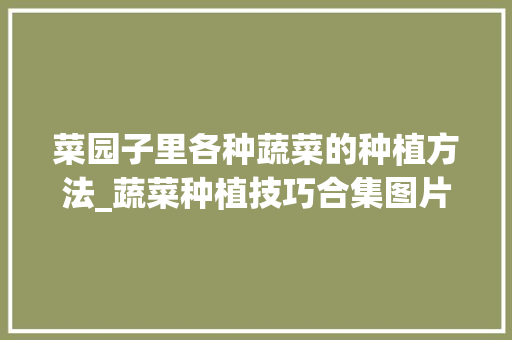 菜园子里各种蔬菜的种植方法_蔬菜种植技巧合集图片大全 菜园子里各种蔬菜的种植方法_蔬菜种植技巧合集图片大全 种植技巧