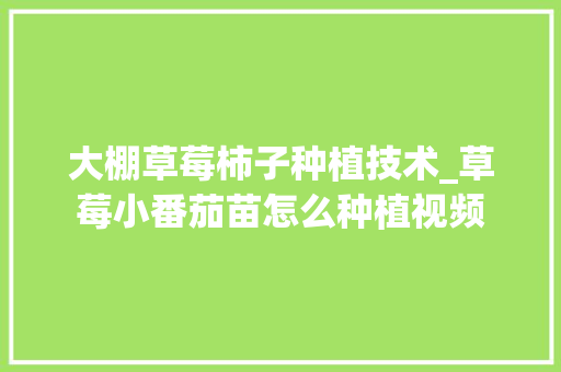 大棚草莓柿子种植技术_草莓小番茄苗怎么种植视频 大棚草莓柿子种植技术_草莓小番茄苗怎么种植视频 植物种类
