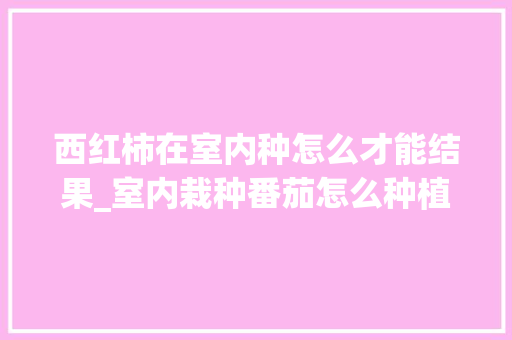 西红柿在室内种怎么才能结果_室内栽种番茄怎么种植视频 西红柿在室内种怎么才能结果_室内栽种番茄怎么种植视频 土壤施肥