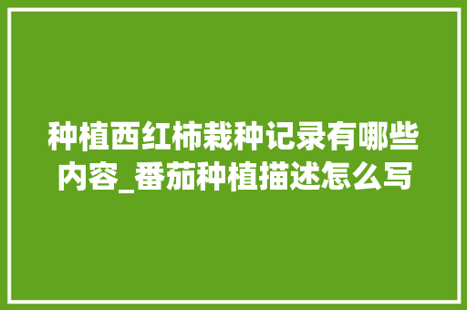 种植西红柿栽种记录有哪些内容_番茄种植描述怎么写好看 种植西红柿栽种记录有哪些内容_番茄种植描述怎么写好看 土壤施肥