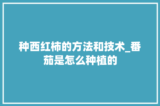 种西红柿的方法和技术_番茄是怎么种植的 种西红柿的方法和技术_番茄是怎么种植的 农业常识