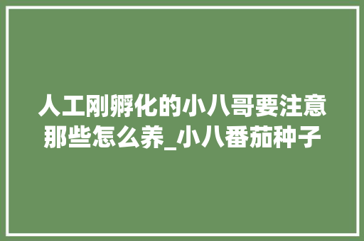人工刚孵化的小八哥要注意那些怎么养_小八番茄种子怎么种植视频