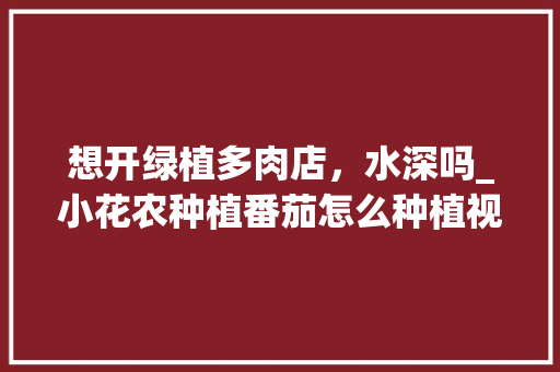 想开绿植多肉店，水深吗_小花农种植番茄怎么种植视频 想开绿植多肉店，水深吗_小花农种植番茄怎么种植视频 种植技巧