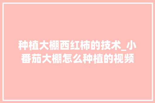 种植大棚西红柿的技术_小番茄大棚怎么种植的视频 花朵知识 种植大棚西红柿的技术_小番茄大棚怎么种植的视频 种植大棚西红柿的技术_小番茄大棚怎么种植的视频 花朵知识