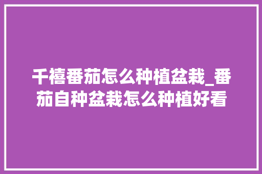 千禧番茄怎么种植盆栽_番茄自种盆栽怎么种植好看 千禧番茄怎么种植盆栽_番茄自种盆栽怎么种植好看 番茄种植技巧