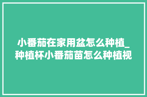 小番茄在家用盆怎么种植_种植杯小番茄苗怎么种植视频 小番茄在家用盆怎么种植_种植杯小番茄苗怎么种植视频 种植技巧