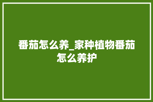 番茄怎么养_家种植物番茄怎么养护 番茄怎么养_家种植物番茄怎么养护 番茄种植技巧