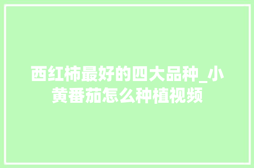 西红柿最好的四大品种_小黄番茄怎么种植视频 西红柿最好的四大品种_小黄番茄怎么种植视频 番茄种植技巧