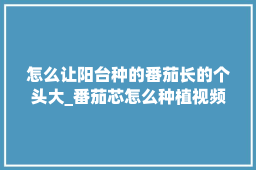 怎么让阳台种的番茄长的个头大_番茄芯怎么种植视频 怎么让阳台种的番茄长的个头大_番茄芯怎么种植视频 番茄病虫害防治