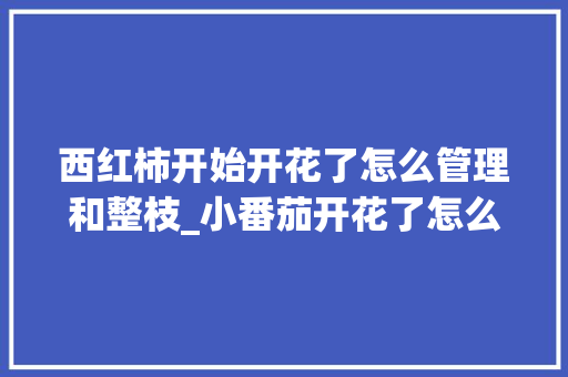 西红柿开始开花了怎么管理和整枝_小番茄开花了怎么种植视频 农业常识 西红柿开始开花了怎么管理和整枝_小番茄开花了怎么种植视频 西红柿开始开花了怎么管理和整枝_小番茄开花了怎么种植视频 农业常识