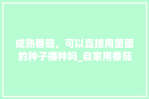 成熟番茄，可以直接用里面的种子播种吗_自家用番茄育种怎么种植的 成熟番茄，可以直接用里面的种子播种吗_自家用番茄育种怎么种植的 番茄种植技巧