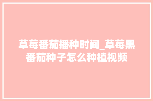 草莓番茄播种时间_草莓黑番茄种子怎么种植视频 草莓番茄播种时间_草莓黑番茄种子怎么种植视频 土壤施肥