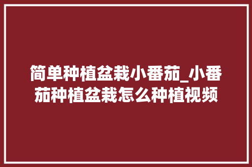 简单种植盆栽小番茄_小番茄种植盆栽怎么种植视频 简单种植盆栽小番茄_小番茄种植盆栽怎么种植视频 番茄病虫害防治