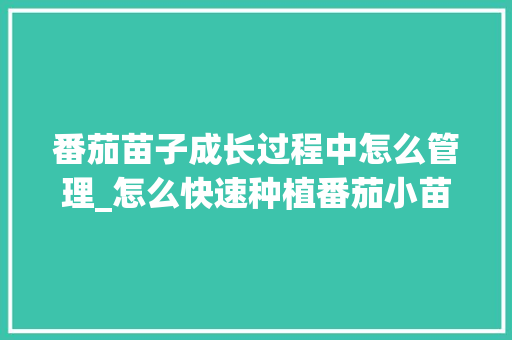 番茄苗子成长过程中怎么管理_怎么快速种植番茄小苗子视频 番茄苗子成长过程中怎么管理_怎么快速种植番茄小苗子视频 土壤施肥