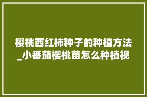 樱桃西红柿种子的种植方法_小番茄樱桃苗怎么种植视频 樱桃西红柿种子的种植方法_小番茄樱桃苗怎么种植视频 种植技巧