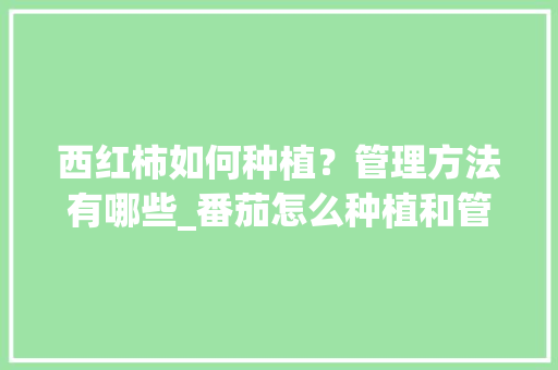 西红柿如何种植？管理方法有哪些_番茄怎么种植和管理 西红柿如何种植？管理方法有哪些_番茄怎么种植和管理 植物种类