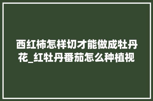 西红柿怎样切才能做成牡丹花_红牡丹番茄怎么种植视频 西红柿怎样切才能做成牡丹花_红牡丹番茄怎么种植视频 番茄种植技巧