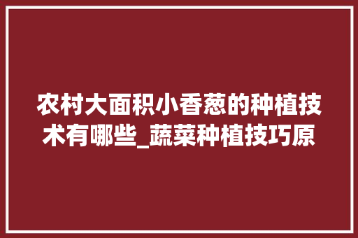 农村大面积小香葱的种植技术有哪些_蔬菜种植技巧原理视频讲解
