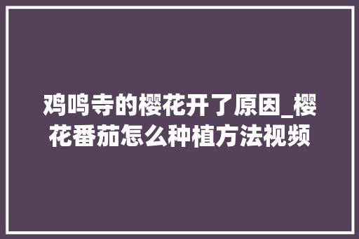 鸡鸣寺的樱花开了原因_樱花番茄怎么种植方法视频 鸡鸣寺的樱花开了原因_樱花番茄怎么种植方法视频 农业常识