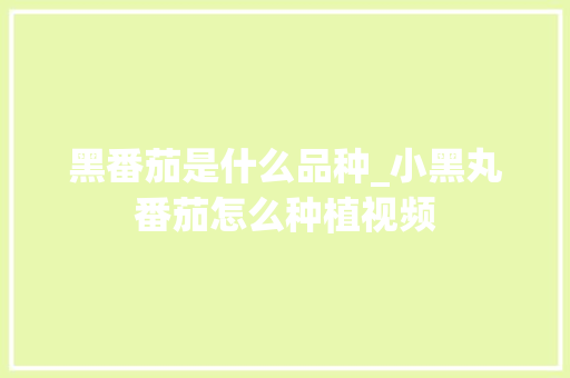 黑番茄是什么品种_小黑丸番茄怎么种植视频 黑番茄是什么品种_小黑丸番茄怎么种植视频 植物种类