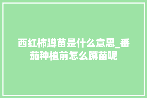 西红柿蹲苗是什么意思_番茄种植前怎么蹲苗呢