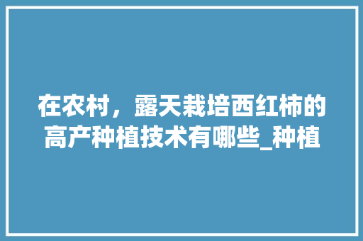 在农村，露天栽培西红柿的高产种植技术有哪些_种植大面积番茄怎么种植的
