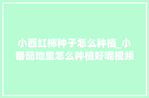 小西红柿种子怎么种植_小番茄地里怎么种植好呢视频 小西红柿种子怎么种植_小番茄地里怎么种植好呢视频 植物种类