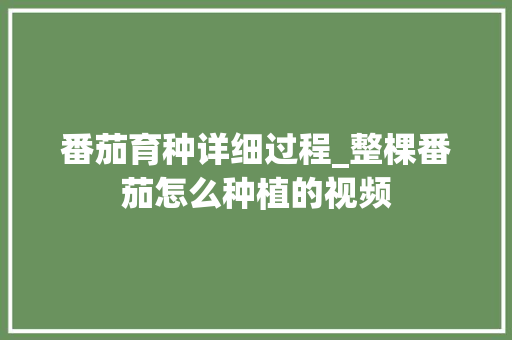 番茄育种详细过程_整棵番茄怎么种植的视频 番茄育种详细过程_整棵番茄怎么种植的视频 土壤施肥