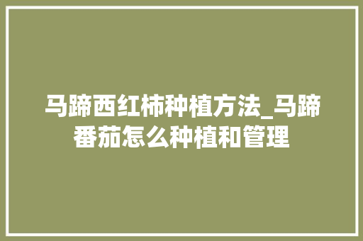马蹄西红柿种植方法_马蹄番茄怎么种植和管理 马蹄西红柿种植方法_马蹄番茄怎么种植和管理 农业常识