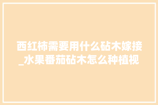西红柿需要用什么砧木嫁接_水果番茄砧木怎么种植视频 西红柿需要用什么砧木嫁接_水果番茄砧木怎么种植视频 种植技巧