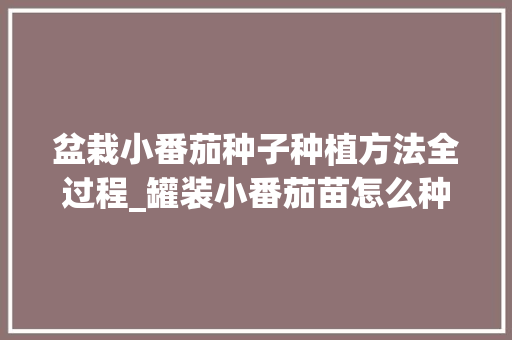 盆栽小番茄种子种植方法全过程_罐装小番茄苗怎么种植视频 盆栽小番茄种子种植方法全过程_罐装小番茄苗怎么种植视频 土壤施肥